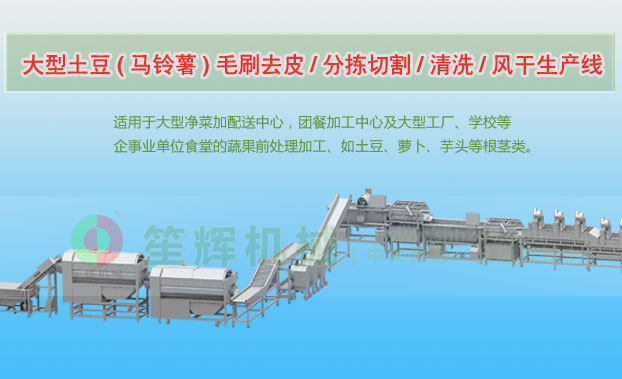 大田连续式土豆去皮清洗切割风干生产线